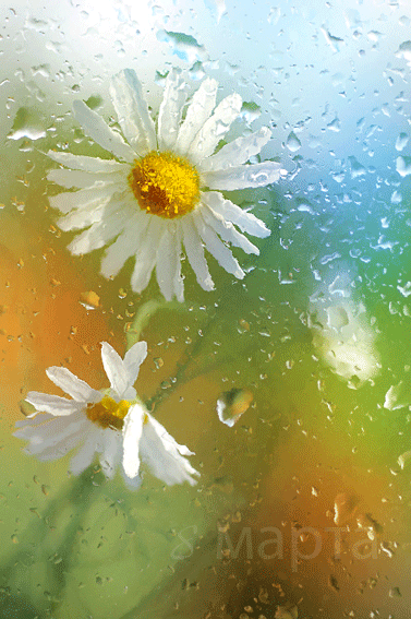 Привітання з 8 Березня