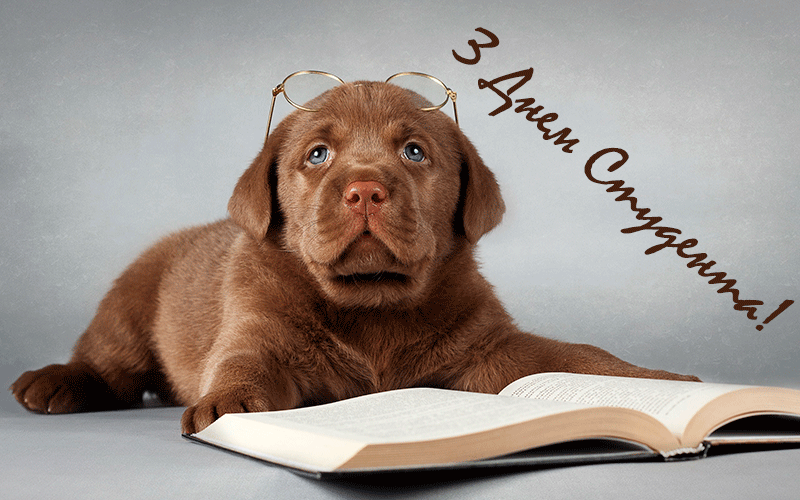 Привітання з Днем Студента