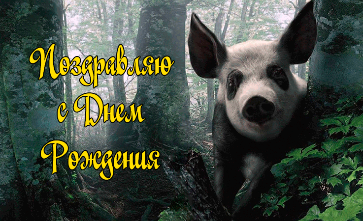 Поздравления с Днем Рождения Тестю Поздравления с Днем Рождения Тестю