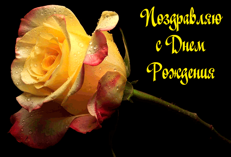 Поздравления с Днем Рождения Невестке Поздравления с Днем Рождения Невестке