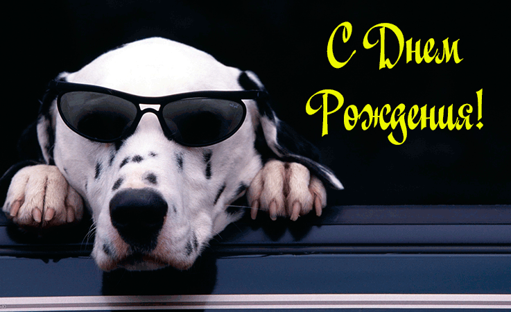 Поздравления с Днем Рождения Сыну Поздравления с Днем Рождения Сыну