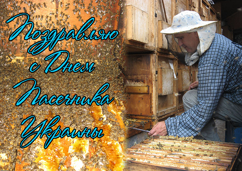 Поздравления с Днем Пасечника Украины в Прозе