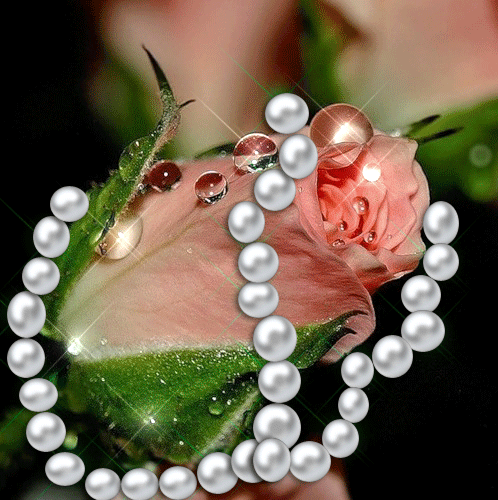 Поздравления с Днем Суда в Прозе