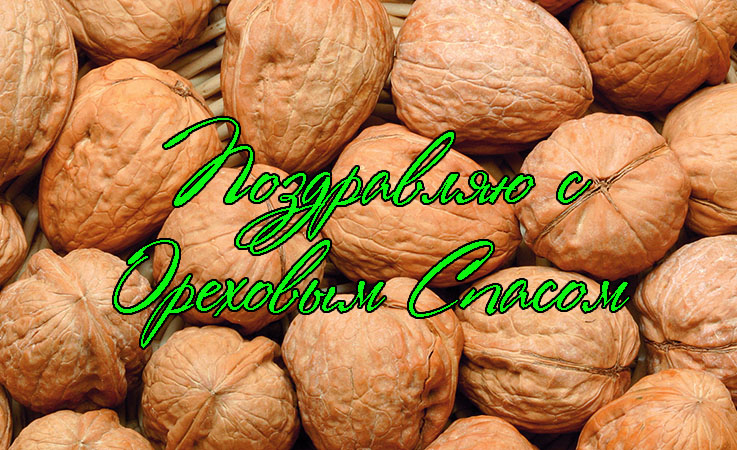 Поздравления с Ореховым Спасом в Прозе