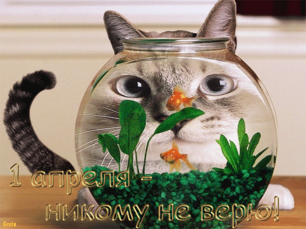 Привітання з 1 квітня в прозі