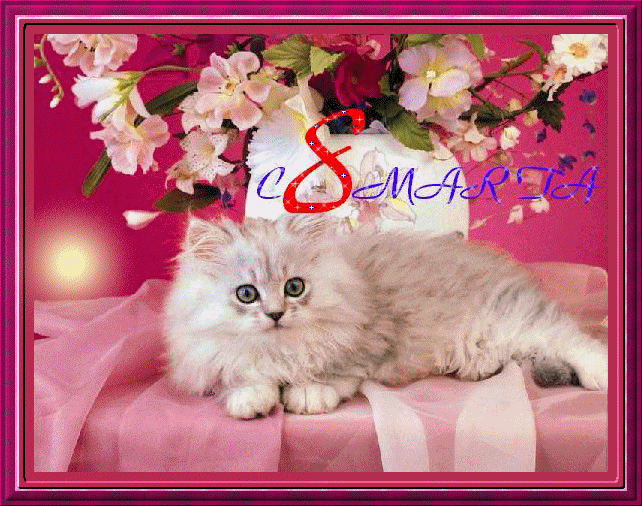 Привітання з 8 березня на англійській мові з перекладом