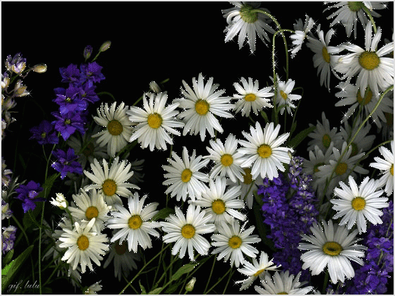 Привітання з Днем Знань