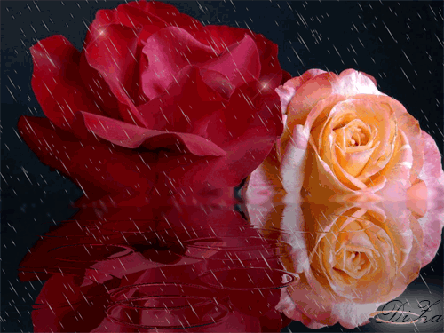 Привітання на День Працівників Видавництв, Поліграфії і Книгорозповсюдження України в Прозі