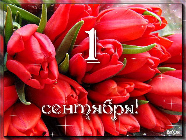 Привітання з Днем Знань мамі у прозі