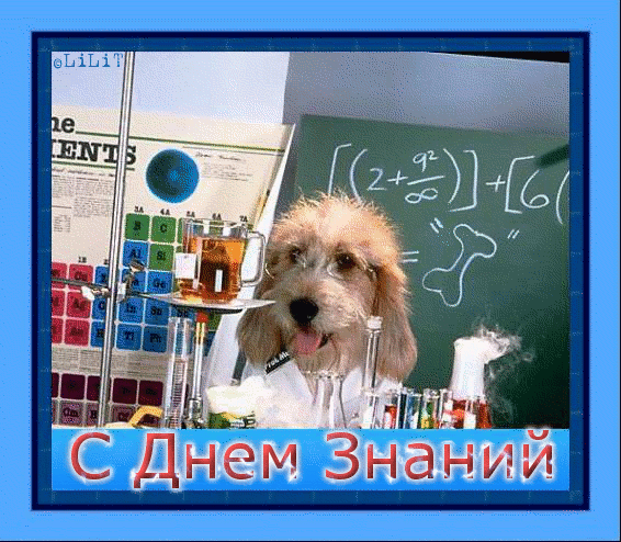 Привітання з Днем Знань вчителів у прозі