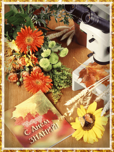 Привітання з Днем Знань від викладачів у прозі