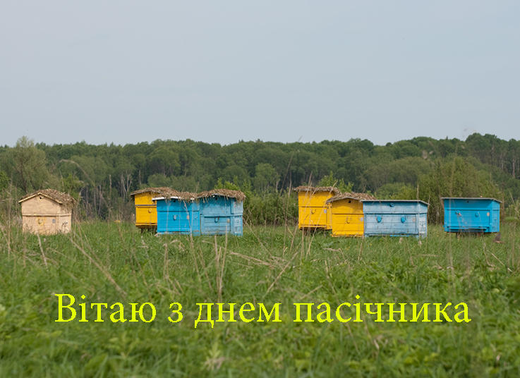 Привітання на День Пасічника в Прозі