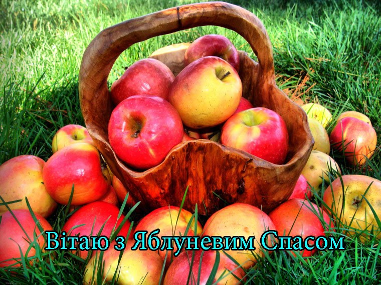 Привітання з Яблуневим Спасом в Прозі