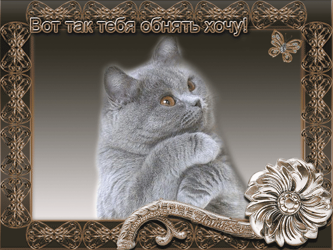 Привітання з Днем Народження Донечці