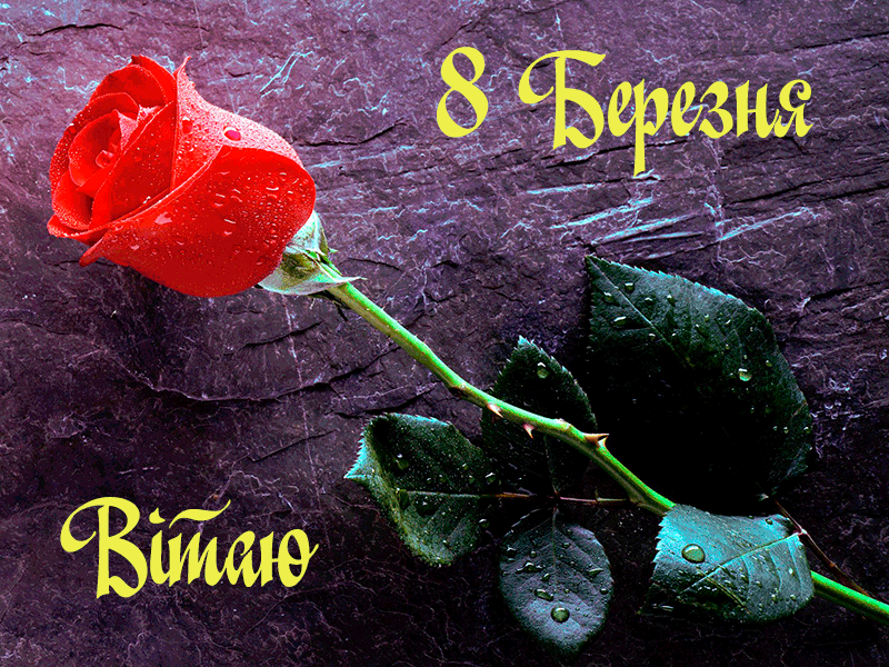 СМС Привітання з 8 Березня