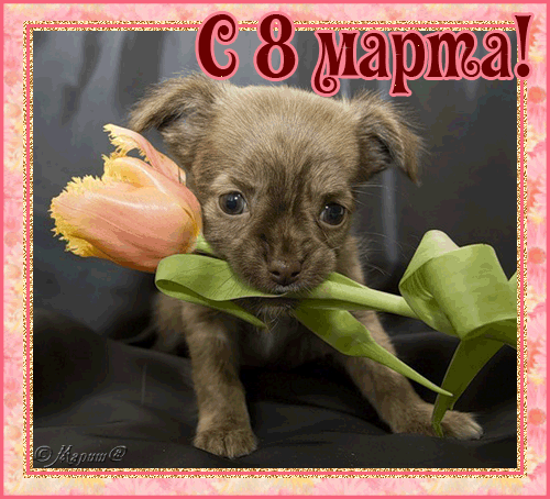 Привітання з 8 березня смс прикольні