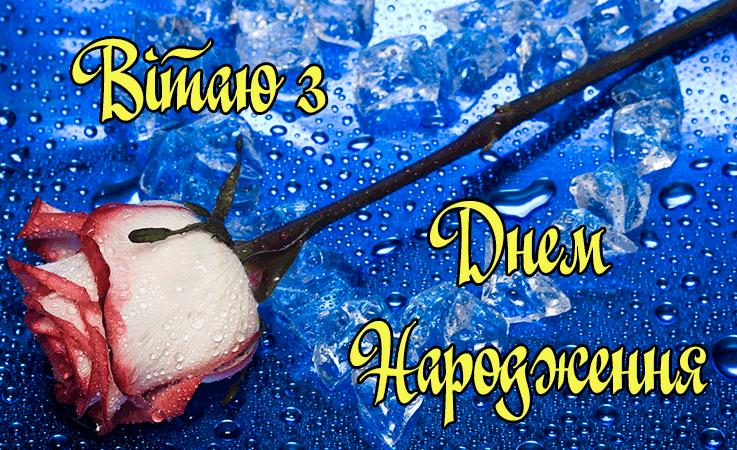 Тости на День Народження