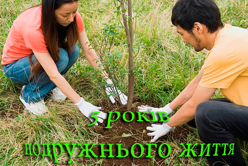 Привітання на Дерев'яне весілля - 5 років