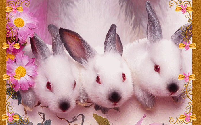 Анекдоти про Поручика Ржевського