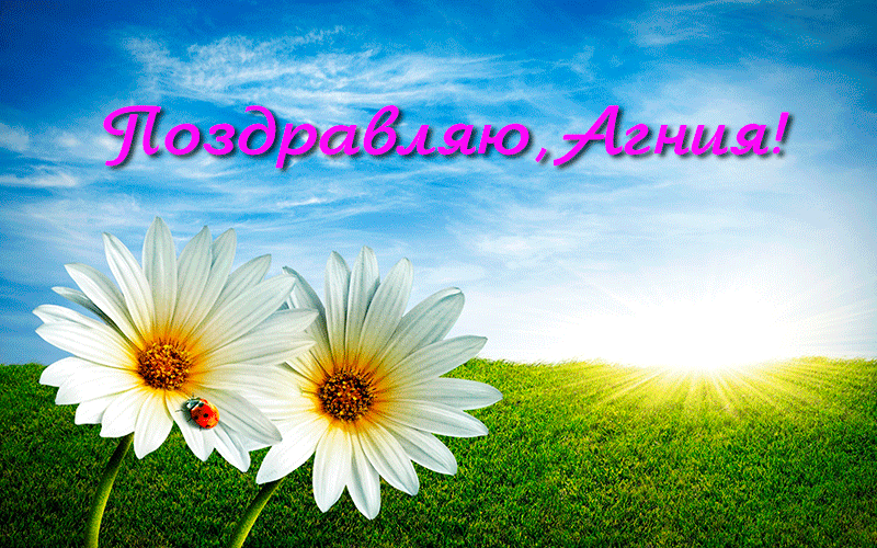 Поздравления Агние