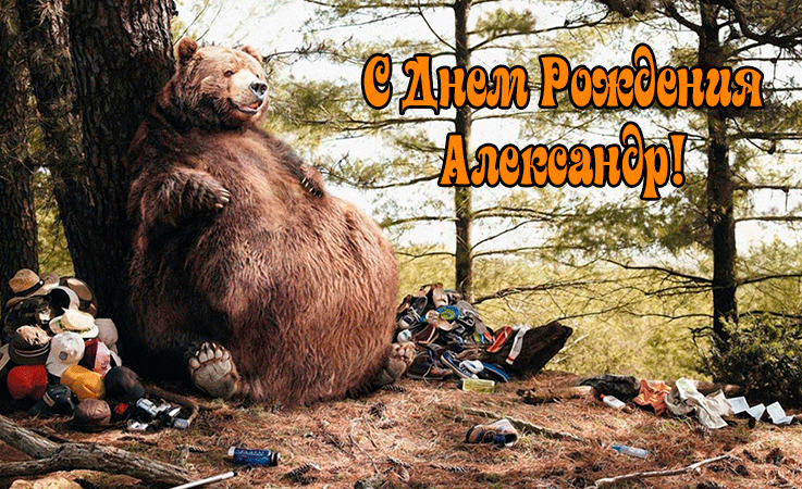 Поздравления Александру