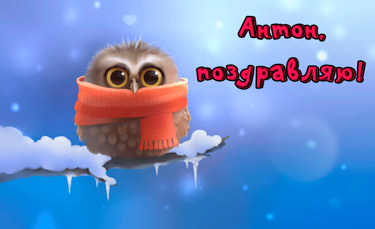 Поздравления Антону