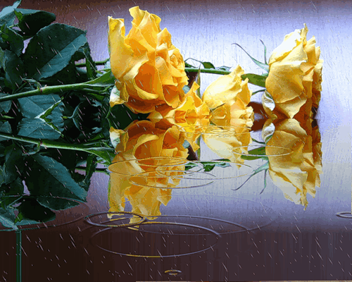 Поздравления Арсению