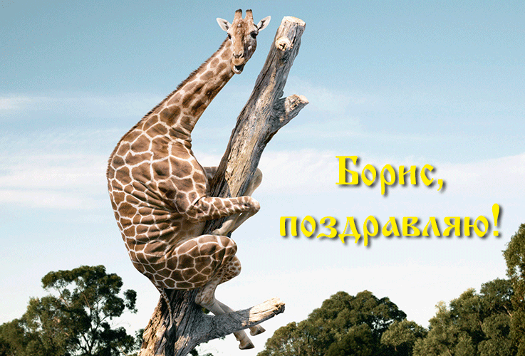 Поздравления Борису