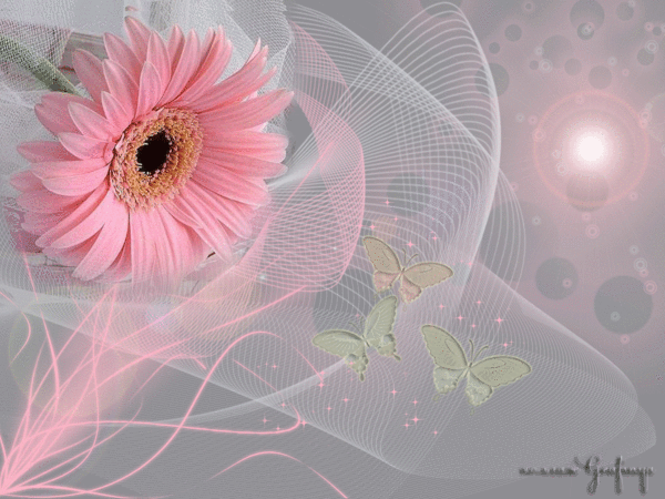 Поздравления Ефиму