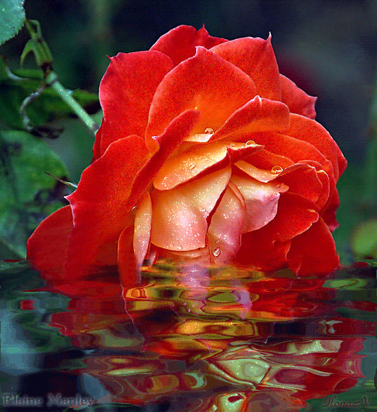 Поздравления Екатерине