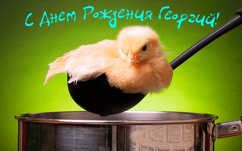 Поздравления Георгию