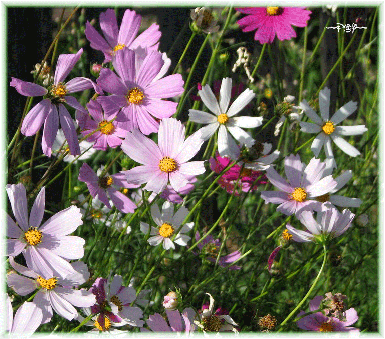 Поздравления Христине