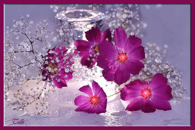 Поздравления Игнатию