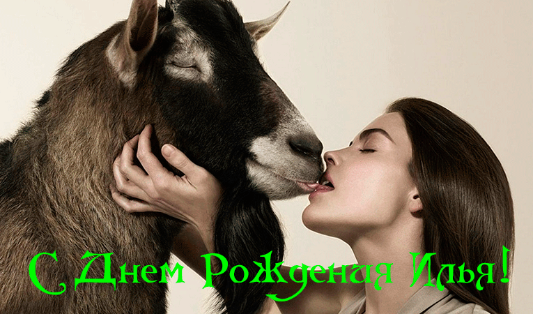 Поздравления Илье