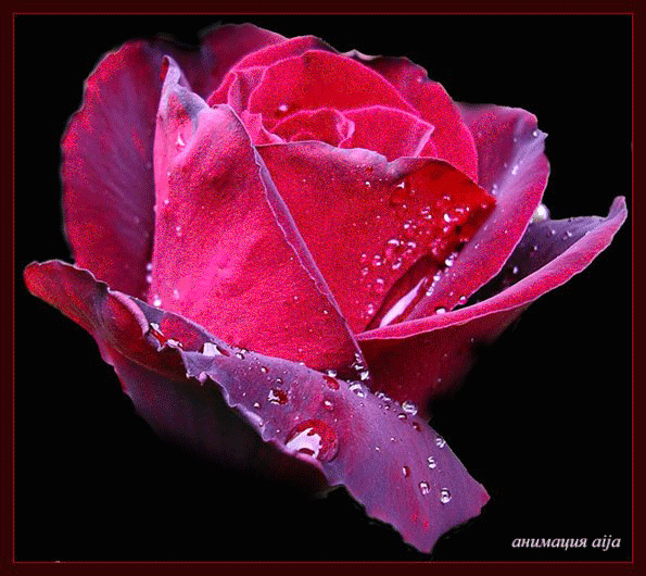 Поздравления Инне