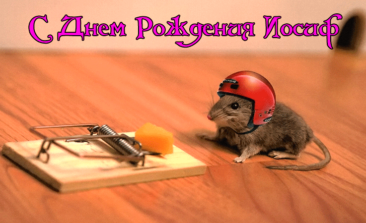 Поздравления Иосифу