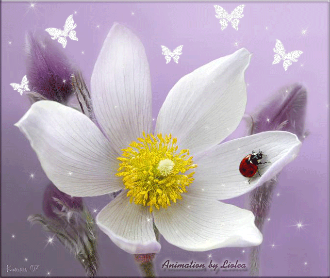 Поздравления Ираиде