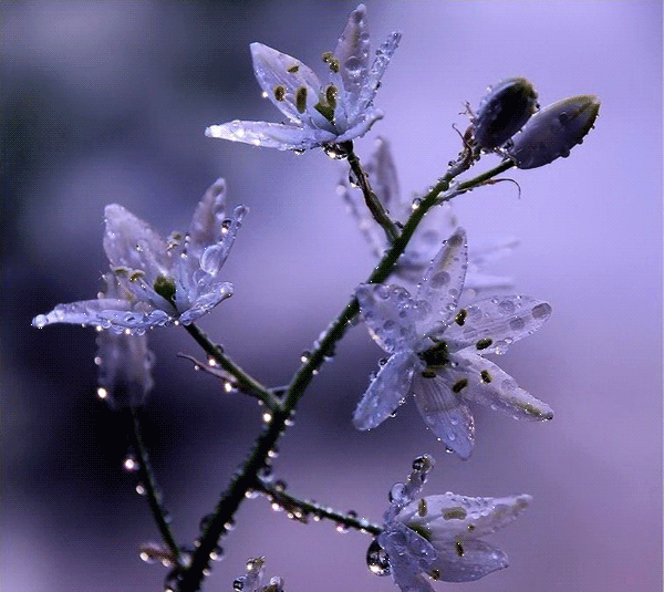 Поздравления Ираклию