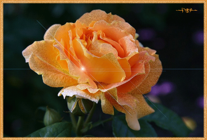 Поздравления Ирине