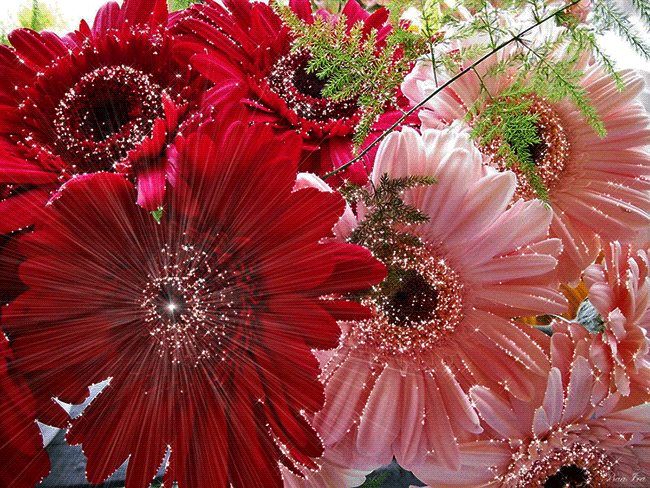 Поздравления Ярославу