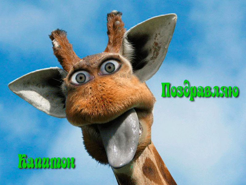 Поздравления Капитону