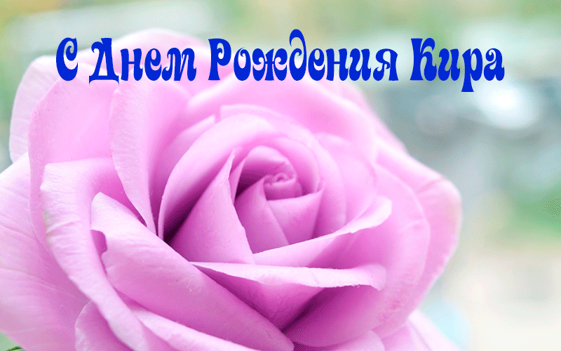 Поздравления Кире