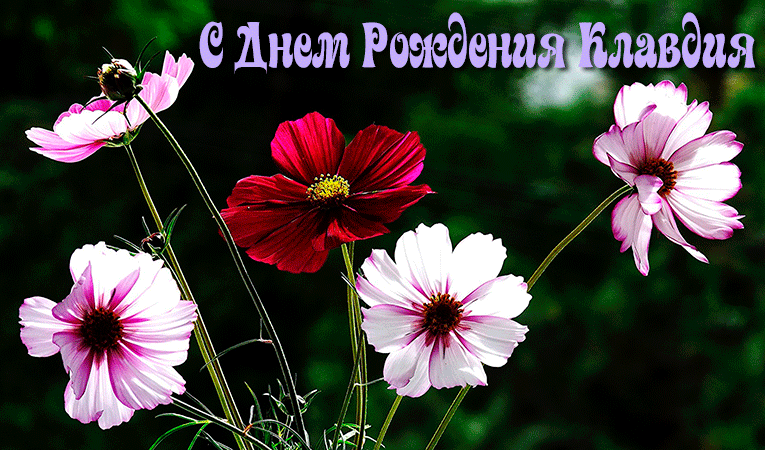 Поздравления Клавдии