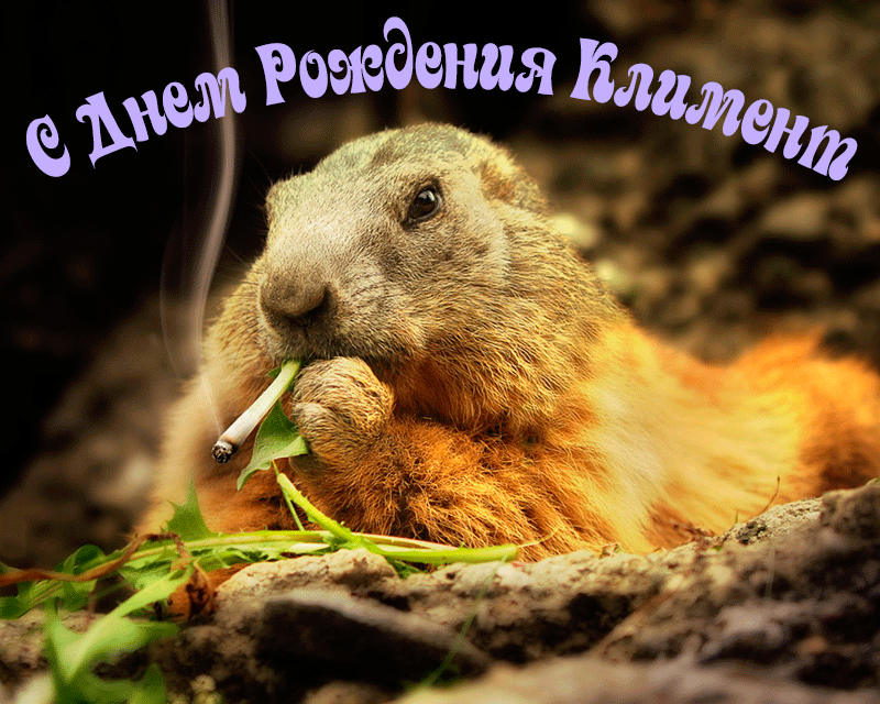 Поздравления Клименту