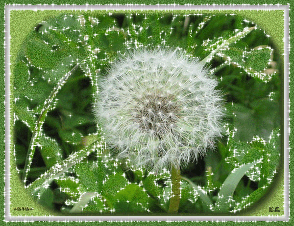 Поздравления Кристине