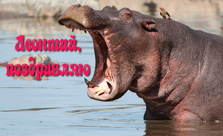 Поздравления Леонтию