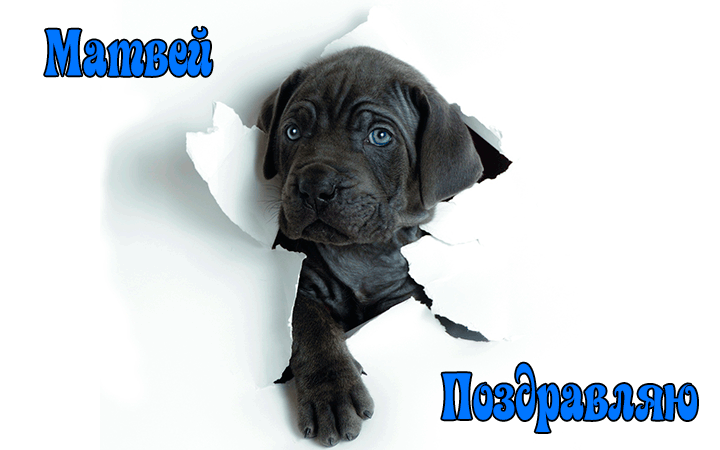 Поздравления Матвею