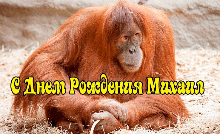 Поздравления Михаилу