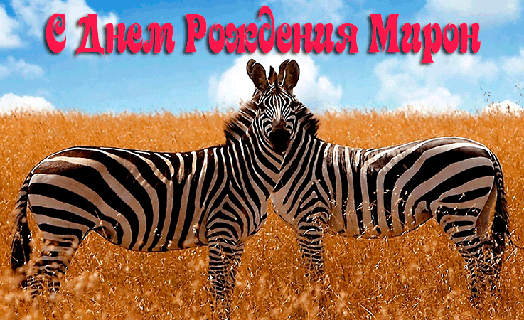 Поздравления Мирону