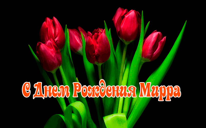 Поздравления Мирре